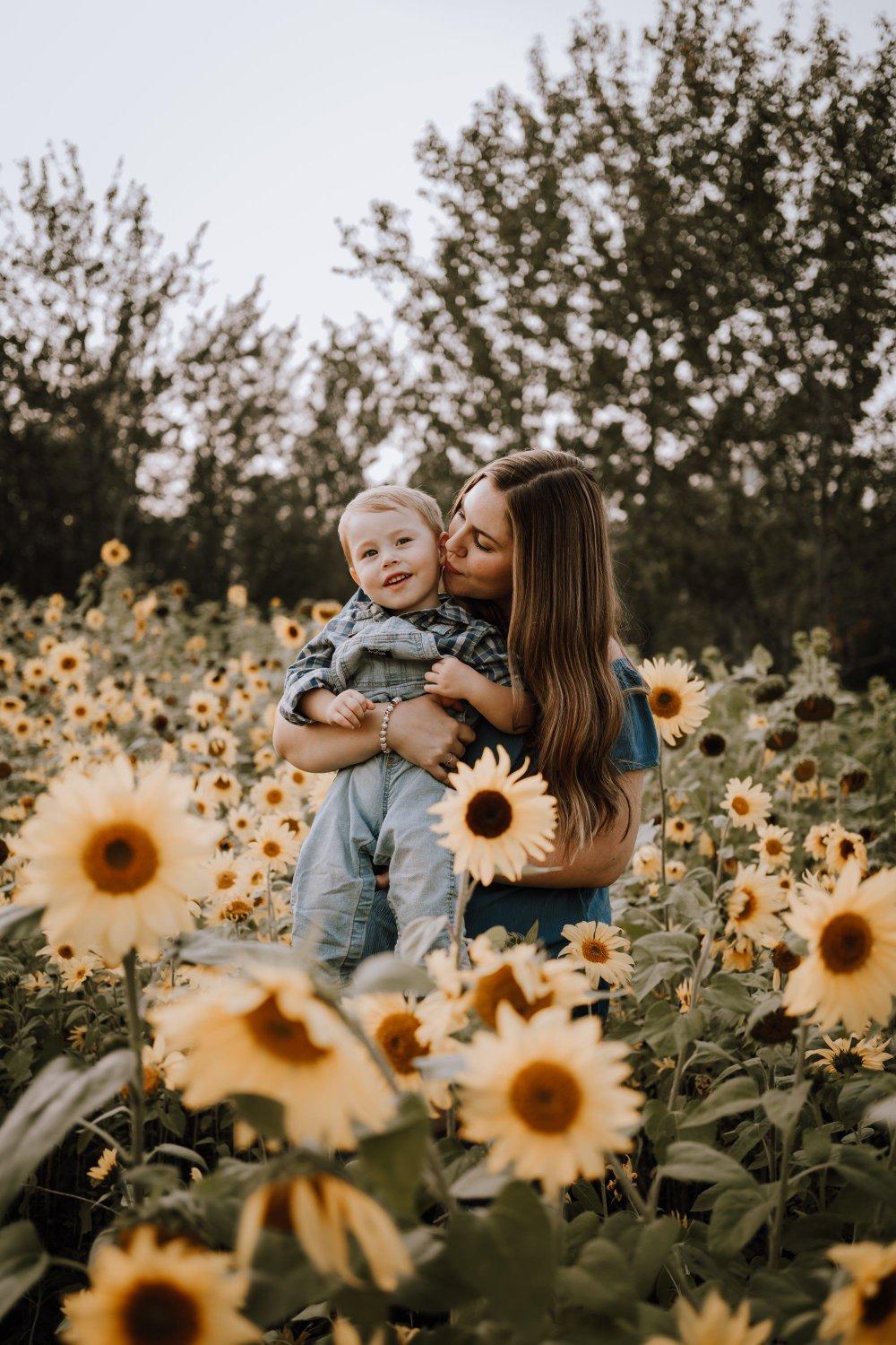 carousel-hero-element image-2