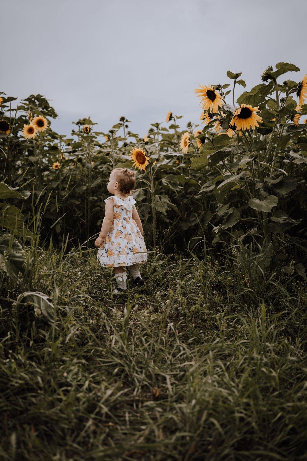 carousel-hero-element image-0