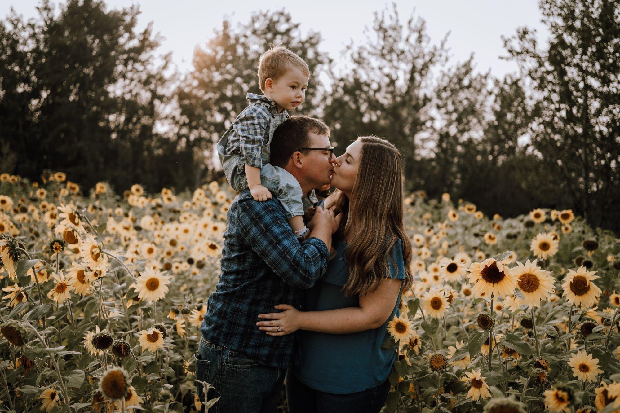 carousel-hero-element image-1