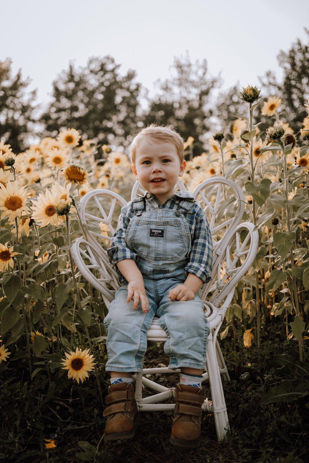 carousel-hero-element image-6